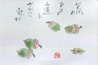 454.jpg