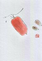 462.jpg